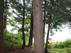 summer 2010 1088